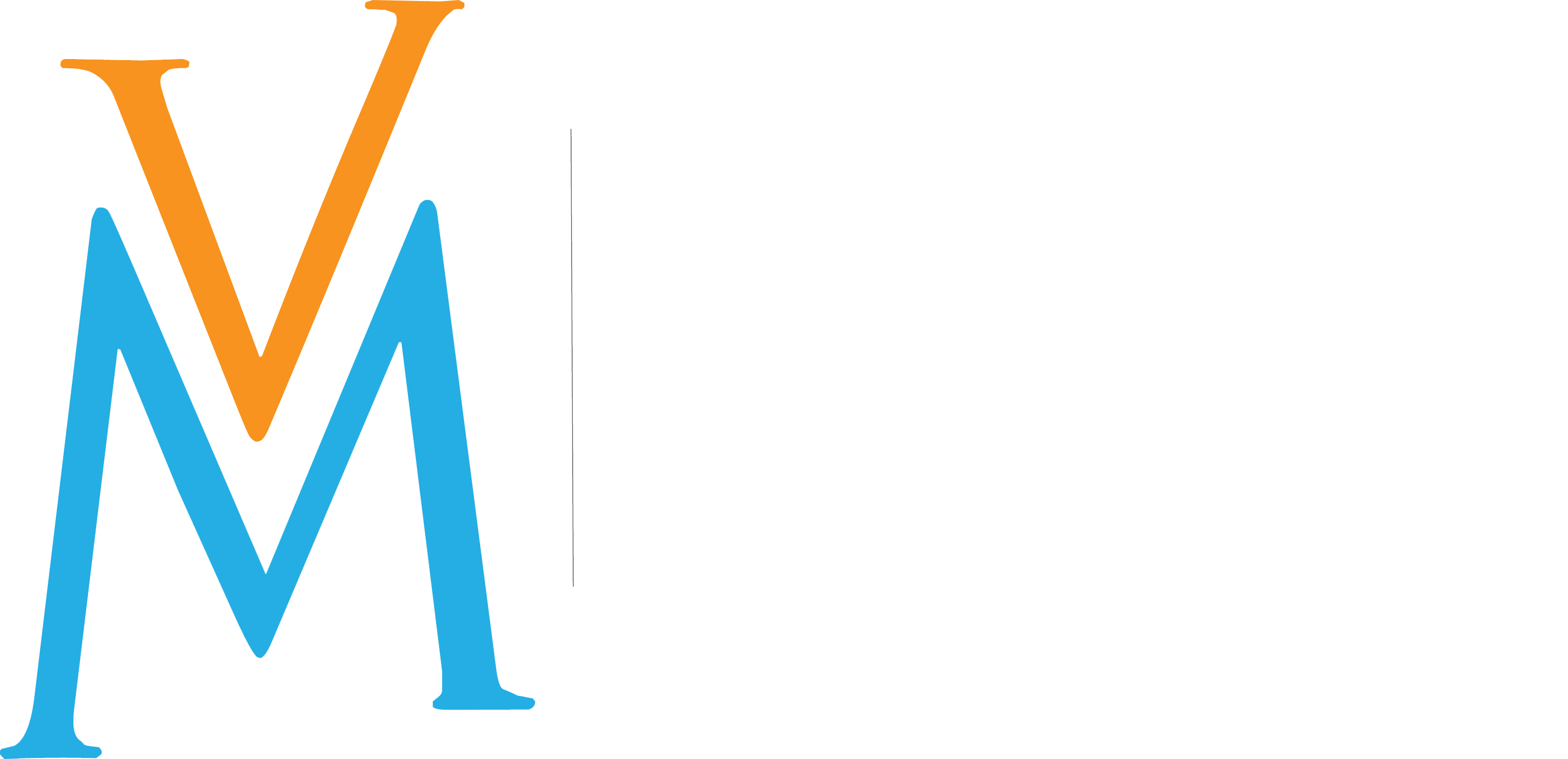 Logo virginie METAIRIE en blanc